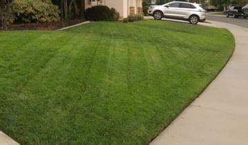 lawn care red oak tx  Past customers often describe Griffin Landscaping as professional and consistent